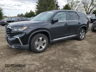2024 Honda Pilot EX-L with VIN 5FNYG1H41RB030036, listed as a Copart auction lot 53278755 with 22,248 mi miles and Salvage title. Bid and sale history available at DreamBid. Image 1.