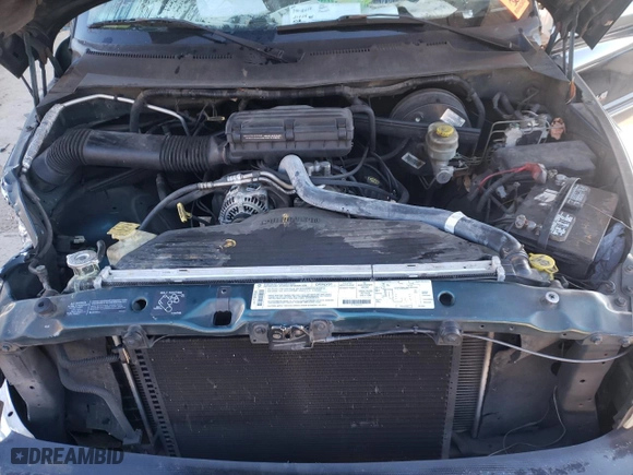 1999 Dodge Ram 1500 with VIN 3B7HC16Y4XM500716, listed as a Copart auction lot 42451335 with 250,041 mi miles and Salvage Title. Bid and sale history available at carsss.com. Image 12.