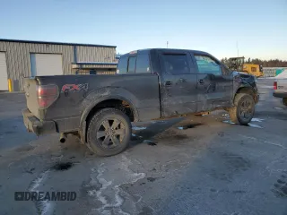 2013 Ford F-150 XL with VIN 1FTFW1EF1DFA62859, listed as a Copart auction lot 42224625 with 135,664 mi miles and Salvage Title. Bid and sale history available at carsss.com. Image 3.