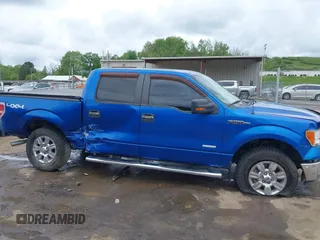 2011 Ford F-150 XLT with VIN 1FTFW1ET7BFB22128, listed as a IAAI auction lot 42214865 with 238,616 mi miles and . Bid and sale history available at DreamBid. Image 6.