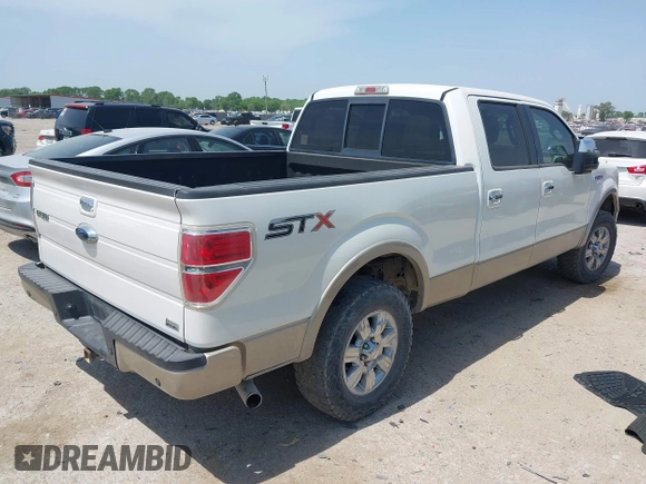 2010 Ford F-150 XL with VIN 1FTFW1CV4AFC35568, listed as a IAAI auction lot 42025030 with 171,172 mi miles and . Bid and sale history available at carsss.com. Image 4.
