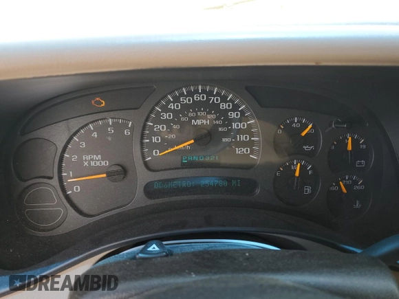 2003 Chevrolet Tahoe LS with VIN 1GNEC13Z53J217546, listed as a Copart auction lot 57321624 with 254,780 mi miles and Salvage Title. Bid and sale history available at carsss.com. Image 9.