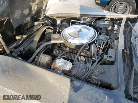 1981 Chevrolet Corvette with VIN 1G1AY8763B5103059, listed as a Copart auction lot 75293044 with 91,784 mi miles and Salvage Title. Bid and sale history available at carsss.com. Image 11.
