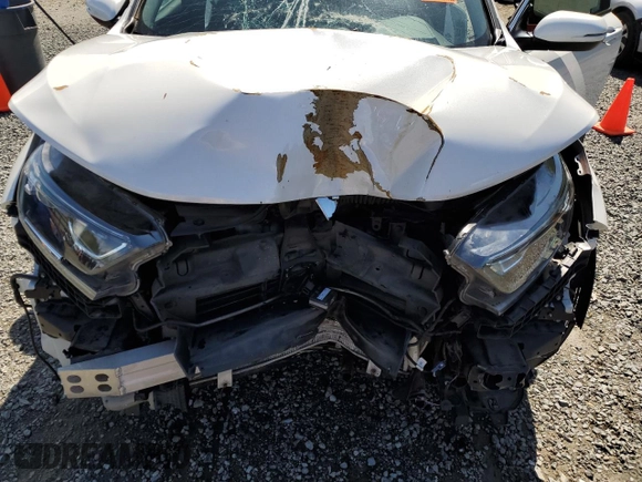 2019 Honda CR-V EX with VIN 2HKRW2H59KH631918, listed as a Copart auction lot 52625905 with 0 mi miles and Clean Title. Bid and sale history available at carsss.com. Image 12.