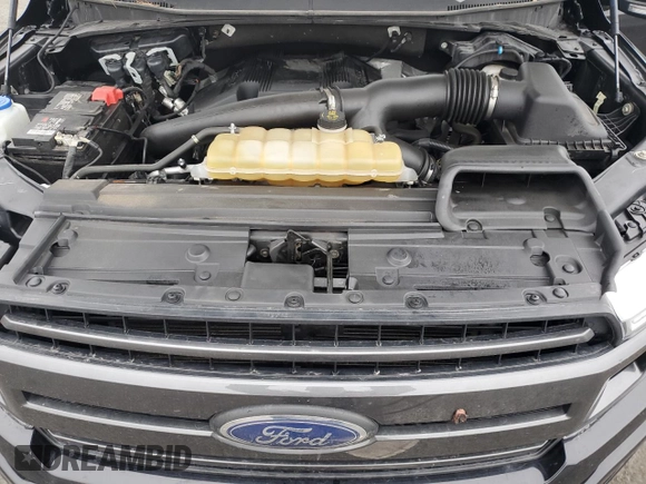 2020 Ford F-150 XL with VIN 1FTFX1E44LFC62080, listed as a Copart auction lot 48001125 with 119,251 mi miles and Salvage Title. Bid and sale history available at carsss.com. Image 12.
