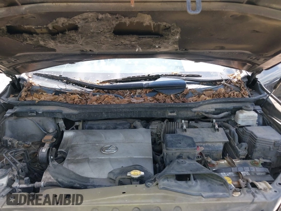 2010 Lexus RX 350 с VIN 2T2ZK1BAXAC017565, выставлен на аукционе IAAI как лот 42376909 с пробегом Не указан миль и . История ставок и продаж доступна на DreamBid. Изображение 10.