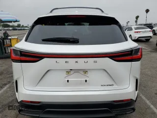 2023 Lexus NX 250 with VIN JTJADCAZ5P5011769, listed as a Copart auction lot 59917725 with 21,887 mi miles and Salvage title. Bid and sale history available at DreamBid. Image 6.