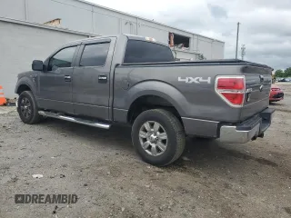 2010 Ford F-150 XL with VIN 1FTFW1EVXAFA58084, listed as a Copart auction lot 54670295 with 134,761 mi miles and Clean title. Bid and sale history available at DreamBid. Image 2.