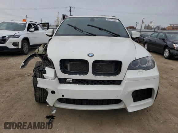 2010 BMW X5 M with VIN 5YMGY0C55ALK25665, listed as a Copart auction lot 82820384 with 118,956 mi miles and Salvage Title. Bid and sale history available at carsss.com. Image 5.