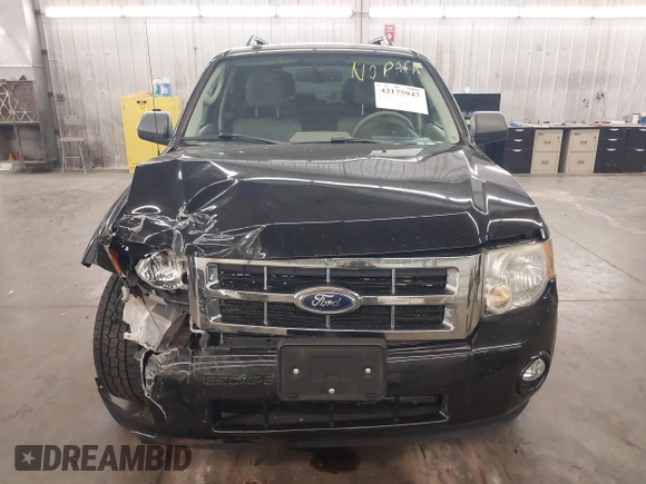2011 Ford Escape XLT с VIN 1FMCU9DG9BKB14059, выставлен на аукционе IAAI как лот 42175947 с пробегом 113 901 миль миль и . История ставок и продаж доступна на DreamBid. Изображение 13.