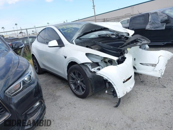 2024 Tesla Model Y with VIN 7SAYGDED2RF207783, listed as a IAAI auction lot 41758143 with Not Provided miles and . Bid and sale history available at DreamBid. Image 1.