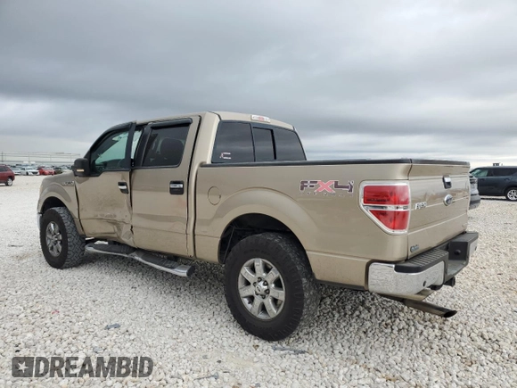 2011 Ford F-150 XL with VIN 1FTFW1EF4BFA38598, listed as a Copart auction lot 50103835 with 225,054 mi miles and Clean Title. Bid and sale history available at DreamBid. Image 2.