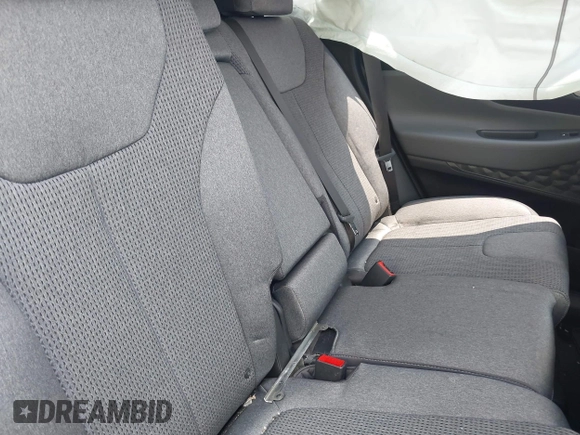 2021 Hyundai Santa Fe SE with VIN 5NMS1DAJXMH344025, listed as a IAAI auction lot 42477124 with 17,129 mi miles and . Bid and sale history available at DreamBid. Image 8.