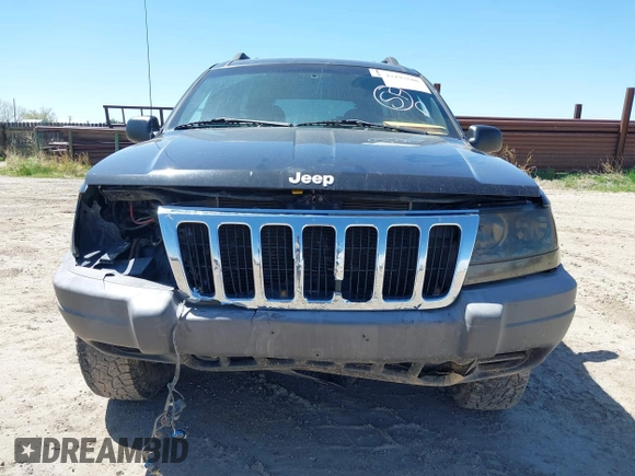 1999 Jeep Grand Cherokee Laredo with VIN 1J4GW58S8XC524502, listed as a IAAI auction lot 42193506 with 147,920 mi miles and . Bid and sale history available at DreamBid. Image 13.