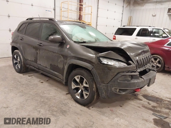 2014 Jeep Cherokee Trailhawk with VIN 1C4PJMBS2EW231813, listed as a IAAI auction lot 41664287 with 128,893 mi miles. Bid and sale history available at carsss.com. Image 1.