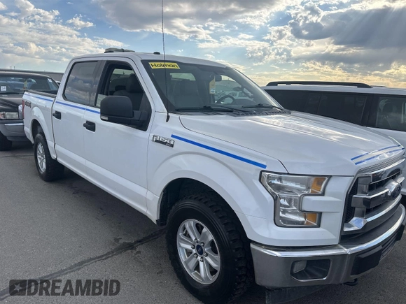 2017 Ford F-150 XL with VIN 1FTEW1EF6HKE54261, listed as a IAAI auction lot 42621287 with 157,861 mi miles and . Bid and sale history available at DreamBid. Image 25.