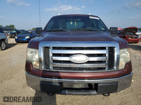 2009 Ford F-150 XL with VIN 1FTRW14889KC37087, listed as a Copart auction lot 58106134 with 225,464 mi miles and Salvage Title. Bid and sale history available at DreamBid. Image 5.