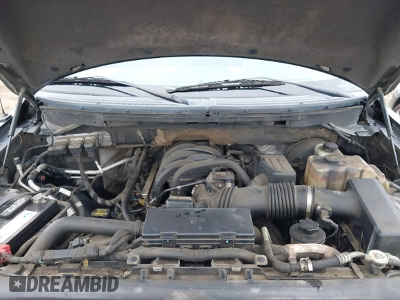 2009 Ford F-150 с VIN 1FTPF14809KB13841, выставлен на аукционе IAAI как лот 41775353 с пробегом 220 204 миль миль и . История ставок и продаж доступна на DreamBid. Изображение 10.