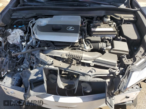 2021 Lexus UX with VIN JTHP3JBH6M2034578, listed as a Copart auction lot 48185835 with 55,297 mi miles and Salvage Title. Bid and sale history available at carsss.com. Image 11.