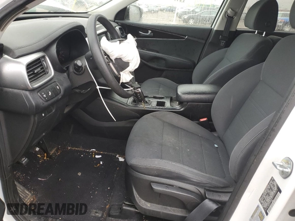 2019 Kia Sorento LX with VIN 5XYPGDA30KG480872, listed as a Copart auction lot 49615655 with Not Provided miles and Salvage Title. Bid and sale history available at DreamBid. Image 7.