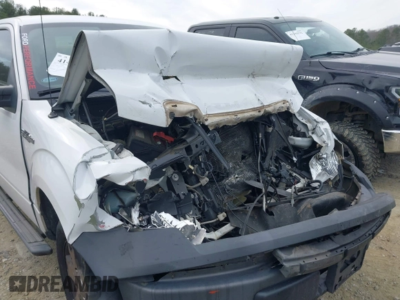 2009 Ford F-150 XL with VIN 1FTRF12WX9KC63899, listed as a IAAI auction lot 41407330 with 276,991 mi miles and . Bid and sale history available at DreamBid. Image 6.