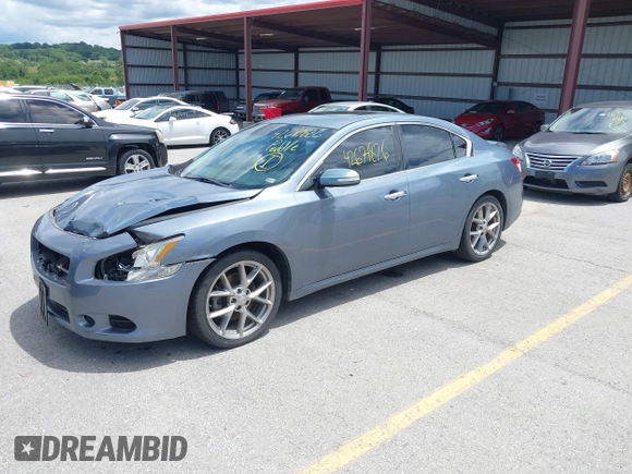2010 Nissan Maxima SV with VIN 1N4AA5AP4AC844929, listed as a IAAI auction lot 42671826 with 136,295 mi miles and . Bid and sale history available at DreamBid. Image 2.