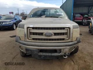 2013 Ford F-150 XL with VIN 1FTFW1EF3DFA22301, listed as a Copart auction lot 49437525 with Not Provided miles and Salvage Title. Bid and sale history available at DreamBid. Image 5.