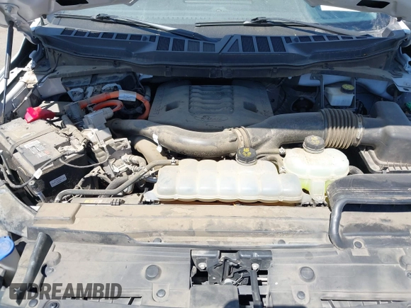 2021 Ford F-150 XL with VIN 1FTFW1CD1MFB31373, listed as a IAAI auction lot 42530409 with 119,956 mi miles and . Bid and sale history available at DreamBid. Image 10.