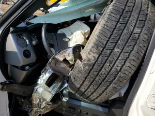 2007 Ford Expedition Limited with VIN 1FMFU19577LA46206, listed as a Copart auction lot 48800465 with Not provided miles and Salvage title. Bid and sale history available at DreamBid. Image 8.