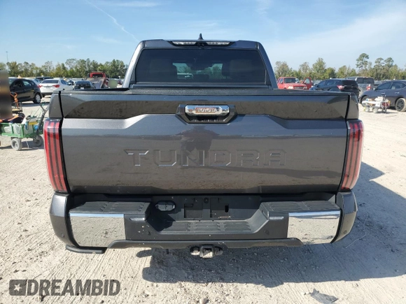 2023 Toyota Tundra 1794 Edition with VIN 5TFMA5AB1PX020609, listed as a Copart auction lot 78865424 with Not provided miles and Non repairable. Bid and sale history available at DreamBid. Image 6.