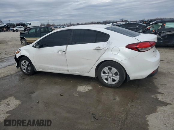 2018 Kia Forte LX with VIN 3KPFL4A76JE260688, listed as a Copart auction lot 44313295 with 123,884 mi miles and Salvage Title. Bid and sale history available at carsss.com. Image 2.