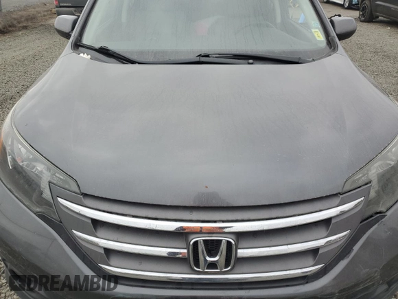 2013 Honda CR-V EX-L with VIN 2HKRM4H77DH655799, listed as a Copart auction lot 48250205 with Not Provided miles and Salvage Title. Bid and sale history available at carsss.com. Image 13.