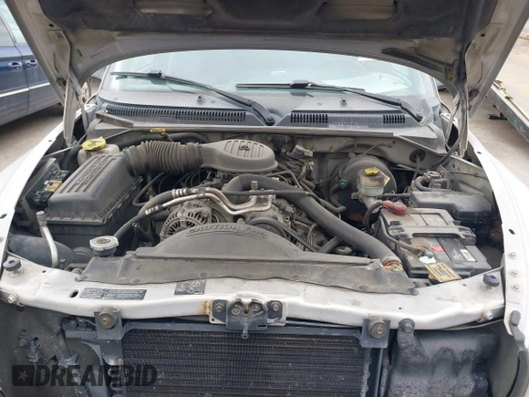 1999 Dodge Dakota SLT with VIN 1B7GG22YXXS255021, listed as a IAAI auction lot 41809325 with 204,352 mi miles and . Bid and sale history available at carsss.com. Image 10.
