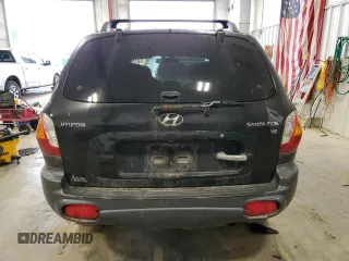 2003 Hyundai Santa Fe GLS with VIN KM8SC13D83U566100, listed as a Copart auction lot 47193955 with 166,060 mi miles and Non Repairable. Bid and sale history available at carsss.com. Image 6.