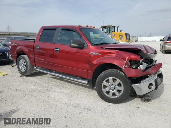 2013 Ford F-150 XL with VIN 1FTFW1EF5DFA72956, listed as a Copart auction lot 49891245 with 142,672 mi miles and Salvage Title. Bid and sale history available at DreamBid. Image 4.