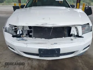 2011 Ford Mustang V6 with VIN 1ZVBP8AMXB5109458, listed as a IAAI auction lot 42565392 with 154,710 mi miles and . Bid and sale history available at DreamBid. Image 6.
