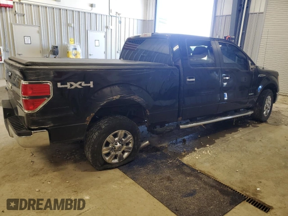 2011 Ford F-150 XLT with VIN 1FTFW1ET3BKE02555, listed as a Copart auction lot 51791675 with 206,065 mi miles and Salvage Title. Bid and sale history available at carsss.com. Image 3.