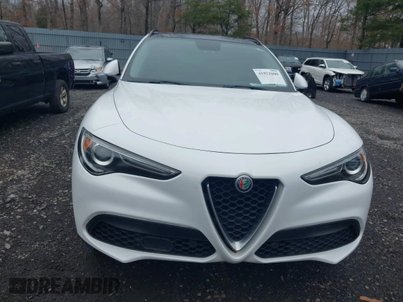 2018 Alfa Romeo Stelvio Sport z VIN ZASFAKPN8J7B82406, wystawiony jako IAAI lot #41822000 z przebiegiem 71 838 mil mil oraz . Historia ofert i sprzedaży dostępna na DreamBid. Obrazek 12.