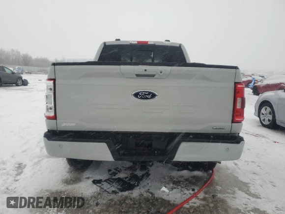 2023 Ford F-150 XL with VIN 1FTFW1E85PKD04873, listed as a Copart auction lot 44853635 with 33,438 mi miles and Non Repairable. Bid and sale history available at carsss.com. Image 6.