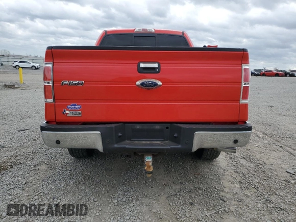 2013 Ford F-150 XL with VIN 1FTFW1CT9DKD58745, listed as a Copart auction lot 49869035 with 159,773 mi miles and Salvage Title. Bid and sale history available at carsss.com. Image 6.