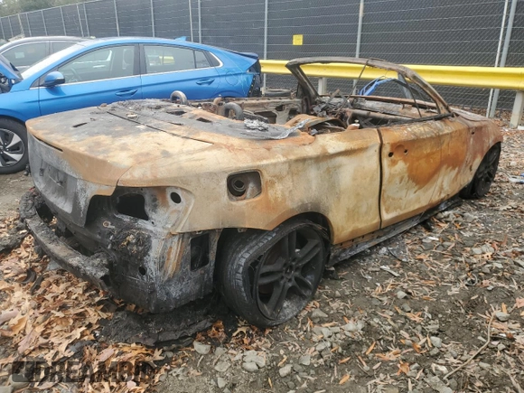 2011 BMW 1 Series 135i with VIN WBAUN7C52BVM23944, listed as a Copart auction lot 84061924 with Not provided miles and Salvage title. Bid and sale history available at DreamBid. Image 3.