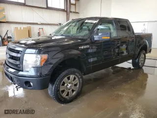 2014 Ford F-150 XL with VIN 1FTFW1EF0EKG15624, listed as a Copart auction lot 48814805 with 100,702 mi miles and Salvage Title. Bid and sale history available at carsss.com. Image 1.