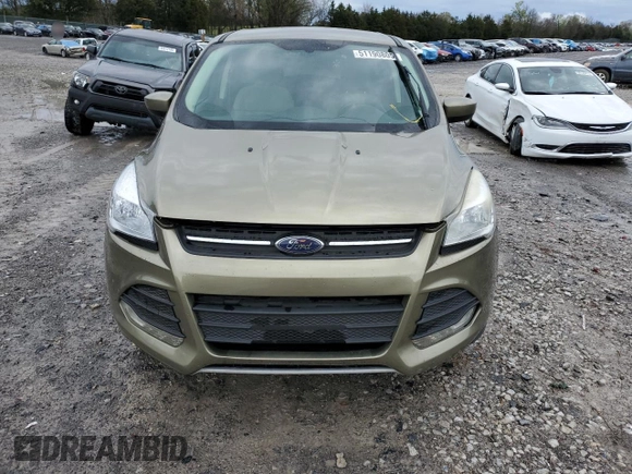 2014 Ford Escape SE with VIN 1FMCU0GX2EUA44369, listed as a Copart auction lot 51190805 with 117,975 mi miles and Salvage Title. Bid and sale history available at carsss.com. Image 5.