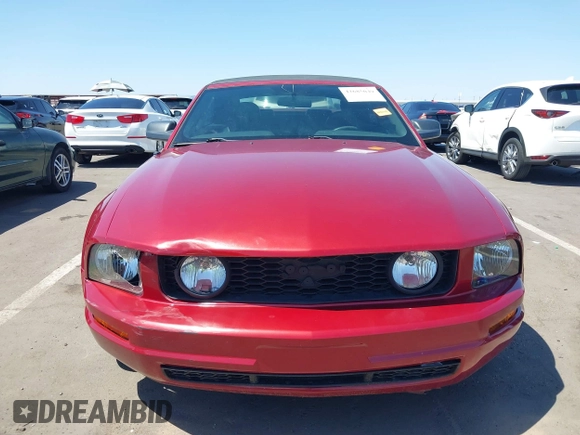 2005 Ford Mustang Deluxe with VIN 1ZVFT84N455197638, listed as a IAAI auction lot 42685049 with 177,405 mi miles and . Bid and sale history available at DreamBid. Image 12.