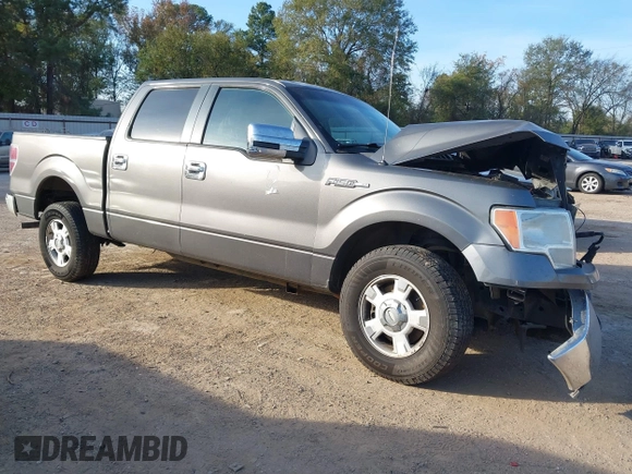 2010 Ford F-150 XL with VIN 1FTEW1C88AFA71456, listed as a IAAI auction lot 40961828 with 219,113 mi miles. Bid and sale history available at carsss.com. Image 1.