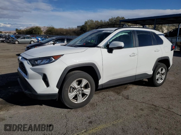 2019 Toyota RAV4 XLE with VIN 2T3W1RFV8KC028630, listed as a Copart auction lot 49307165 with 32,043 mi miles and Salvage Title. Bid and sale history available at DreamBid. Image 1.