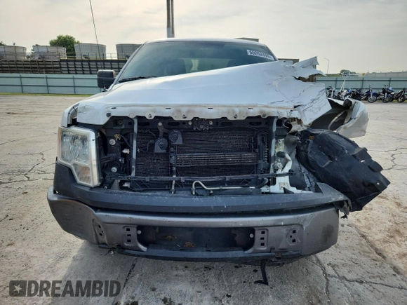 2013 Ford F-150 XL с VIN 1FTFX1CF9DKG47521, выставлен на аукционе Copart как лот 60262495 с пробегом 300 728 миль миль и Списание • Salvage title. История ставок и продаж доступна на DreamBid. Изображение 5.