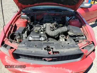 2009 Ford Mustang with VIN 1ZVHT84N895112458, listed as a Copart auction lot 52880595 with 166,456 mi miles and Salvage title. Bid and sale history available at DreamBid. Image 11.