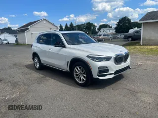 2019 BMW X5 xDrive40i with VIN 5UXCR6C55KLK80009, listed as a Copart auction lot 66447745 with 98,821 mi miles and Clean title. Bid and sale history available at DreamBid. Image 4.