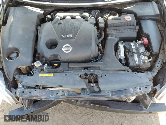 2009 Nissan Maxima SV with VIN 1N4AA51E19C819903, listed as a Copart auction lot 61956143 with 164,469 mi miles and Clean Title. Bid and sale history available at DreamBid. Image 11.